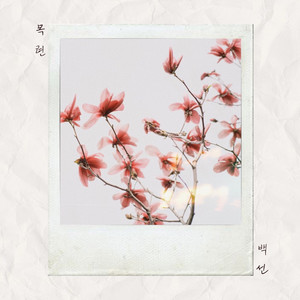 목련 (Prod. 이츠) (feat. 이츠) (magnolia)