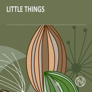 Little Things