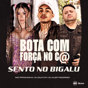 BOTA COM FORÇA NO C@ - SENTO NO BIGALU (Explicit)
