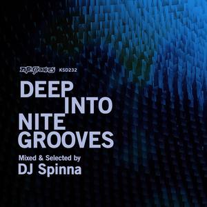 Deep into Nite Grooves: Mixed & Selected by DJ Spinna