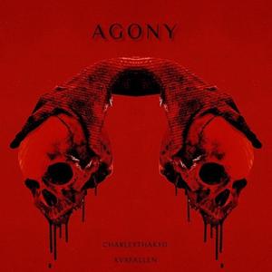 Agony (feat. Xvxfallen) [Explicit]