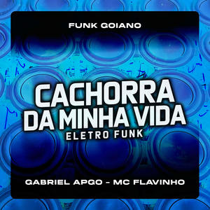 Cachorra da Minha Vida Eletro Funk (Explicit)