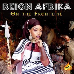 Intro(Lion Paw International)