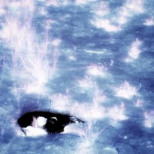 it always ends in decay (feat. MAXY!)