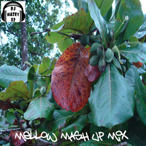 Mellow Mash Up Mix