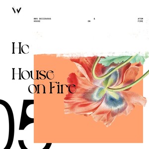 House on Fire (Original Mix)