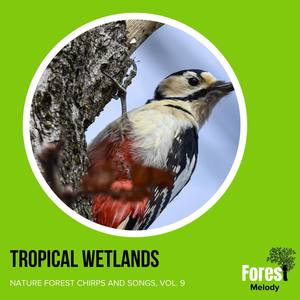 Red Woopecker Chirping