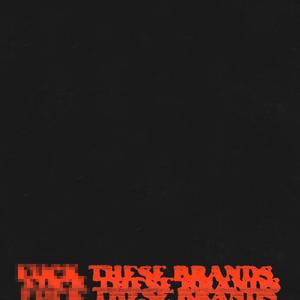 **** These Brands(feat. Shirt) (Explicit)
