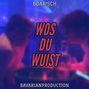 WOS DU WUIST (feat. MX43 & AXL)