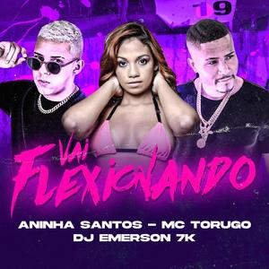 Vai flexionando(feat. Aninha Santos & MC Torugo) (Explicit)