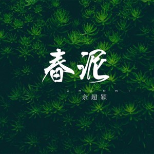 春泥 (DJ版)封面