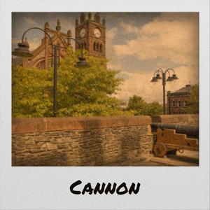 Cannon