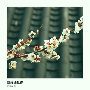 刚好遇到你