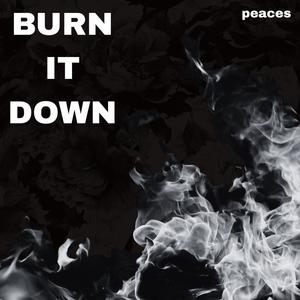 Burn It Down
