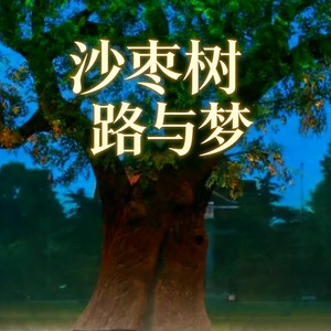 夏馥郁香 - 沙枣树·路与梦