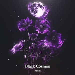 Black Cosmos