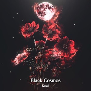 Black Cosmos