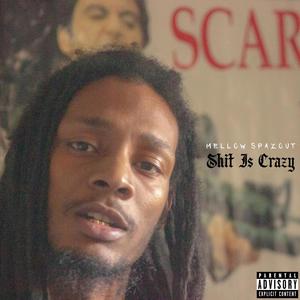 **** Is Crazy (Explicit)