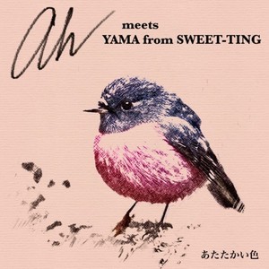 あたたかい色 (meets YAMA from SWEET-TING)
