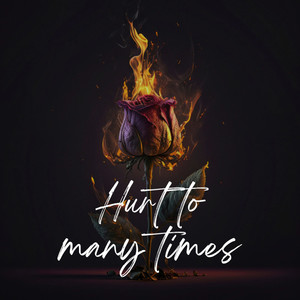 Hurt To Many Times