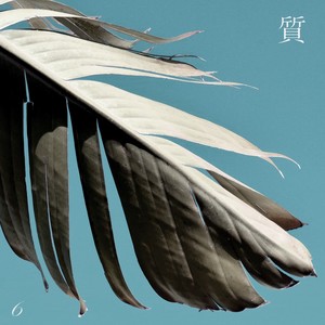 Funky Weapons (Explicit)