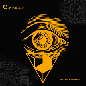 Echo Of Goodbye (Volkan Erman Remix)