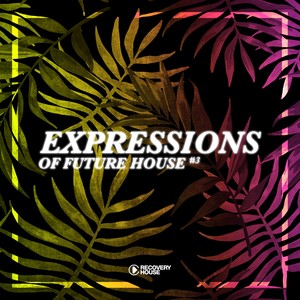 The Groove (Dub Radio Edit)