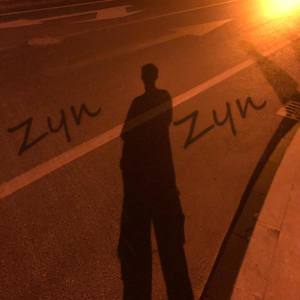 Zyn Zyn