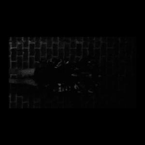 ReDCultxX (feat. Killpurp) (Explicit)