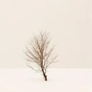 海阔天空尾奏 (琵琶尾奏)