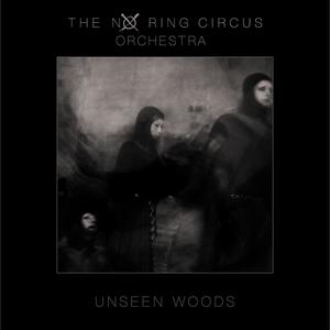 Unseen Woods