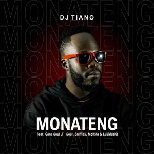 MONATENG (feat. Sniffles SA, Cana Soul, T Soul, Monsta & Luu Musiq)