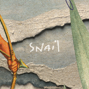 Snail