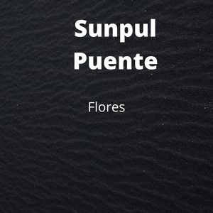 Sunpul Puente