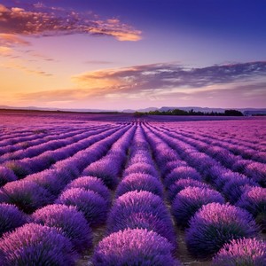 Unfolding Adventures