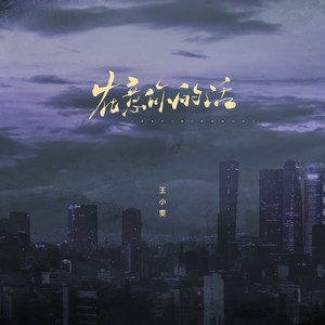 在意你的话-王小雯