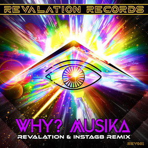WHY? MUSIKÅ (Original Mix)