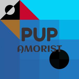 Pup Amorist