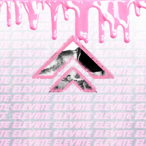 Re-elevate (Elevate Remixes)