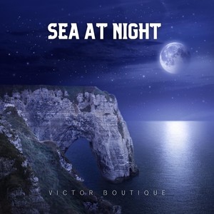 Sea at Night