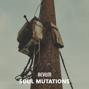 Soul Mutations