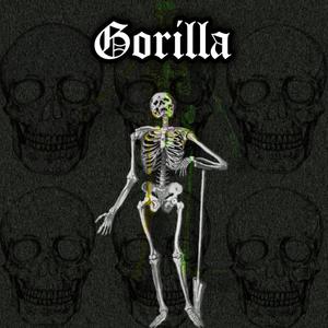 Gorilla (Explicit)