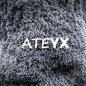 ATEYX