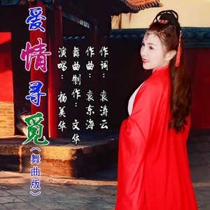 爱情寻觅