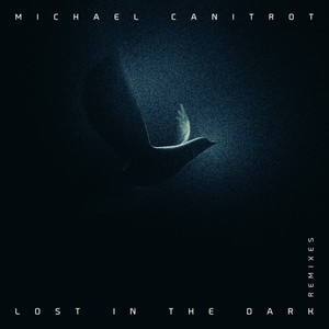 Lost in the Dark (Remixes)