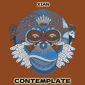 Contemplate (Instrumental)