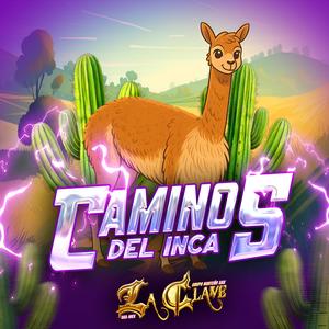 Camino Del Inca