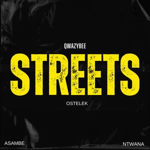 Streets (feat. Qwazybee)