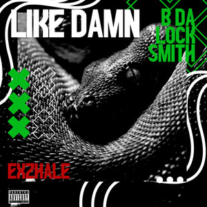 Like Damn (Explicit)