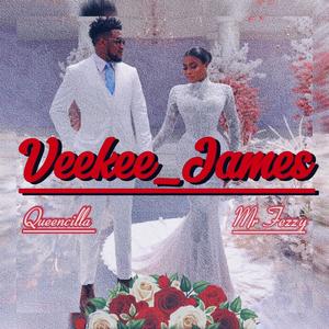 Veekeejames (feat. Queencilla)